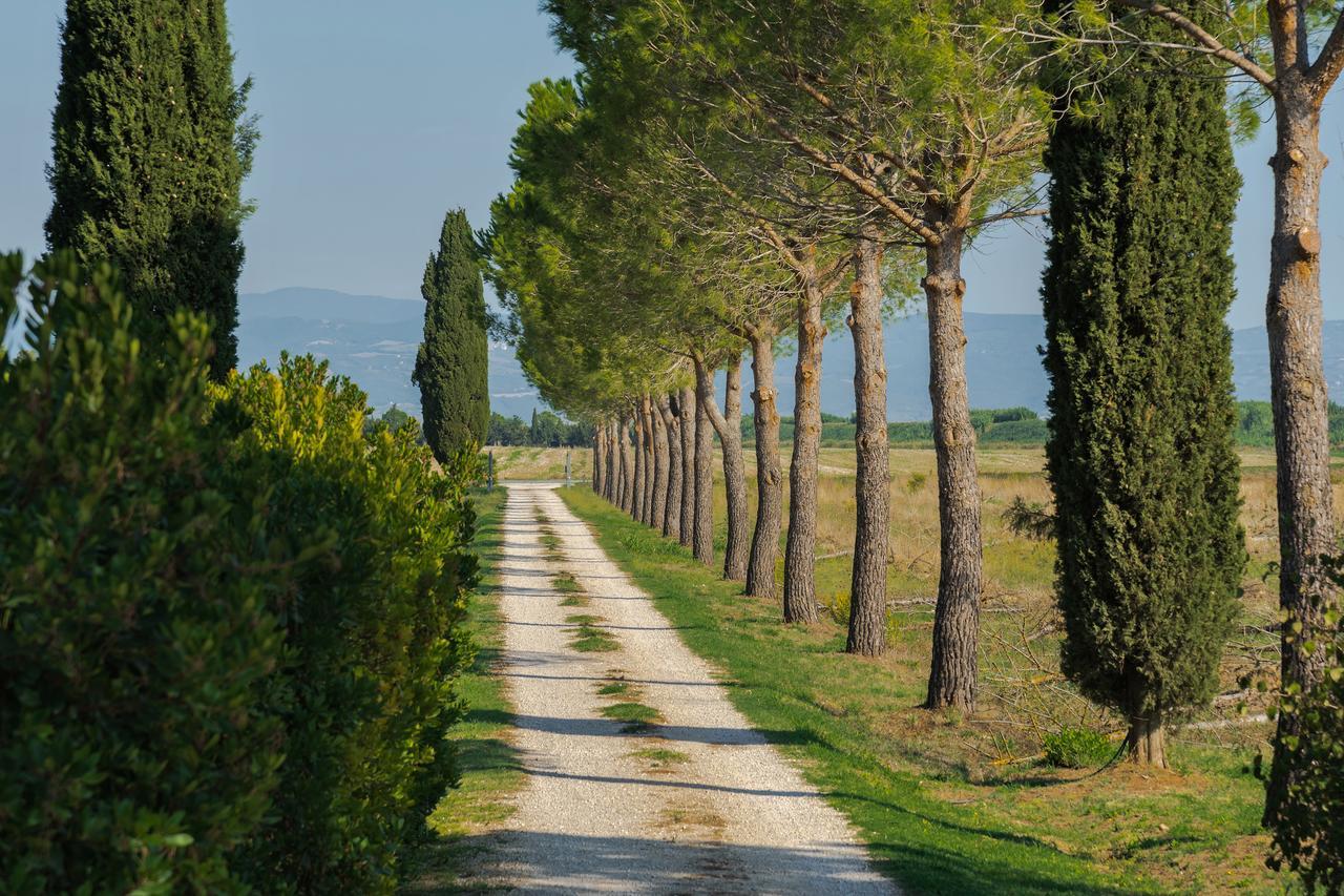 Agriturismo Bandinelli Braccagni Ngoại thất bức ảnh