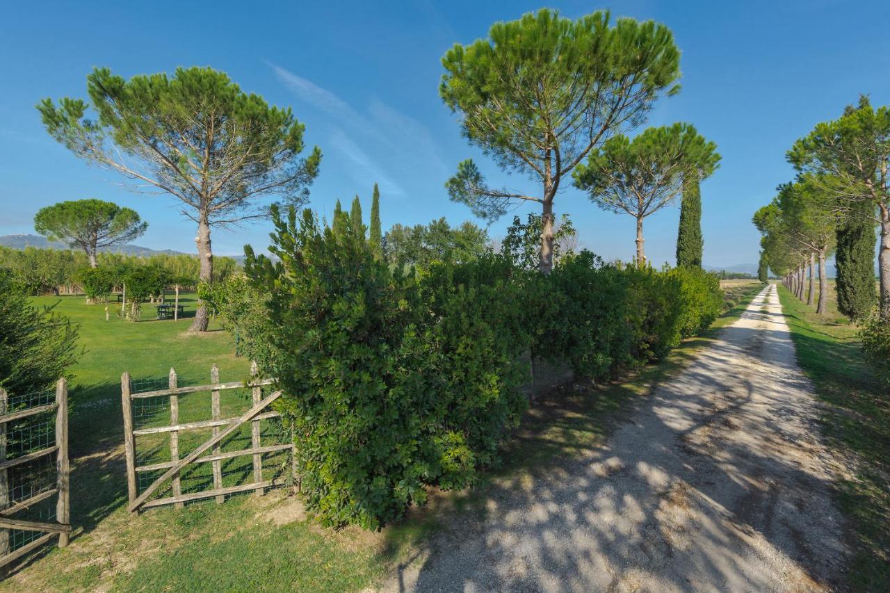 Agriturismo Bandinelli Braccagni Ngoại thất bức ảnh